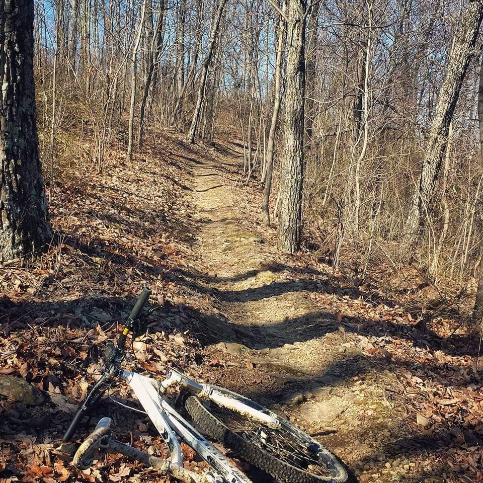 A narrow, winding dirt path through a forested area, lined with tall trees and fallen leaves. A white mountain bike is lying on its side off the trail, suggesting it may have been abandoned or fallen. The scene is set in early autumn with clear skies visible above. Cave-run Lake mountain bike trail.