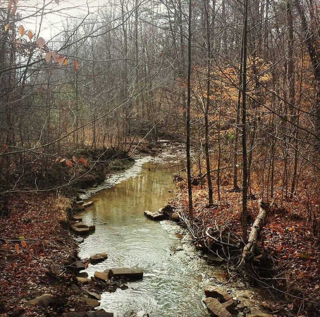 A tranquil stream meanders through a wooded area, surrounded by bare trees and scattered autumn leaves. The water reflects the muted light, creating a peaceful, natural setting. Cave-run Lake mountain bike trail.