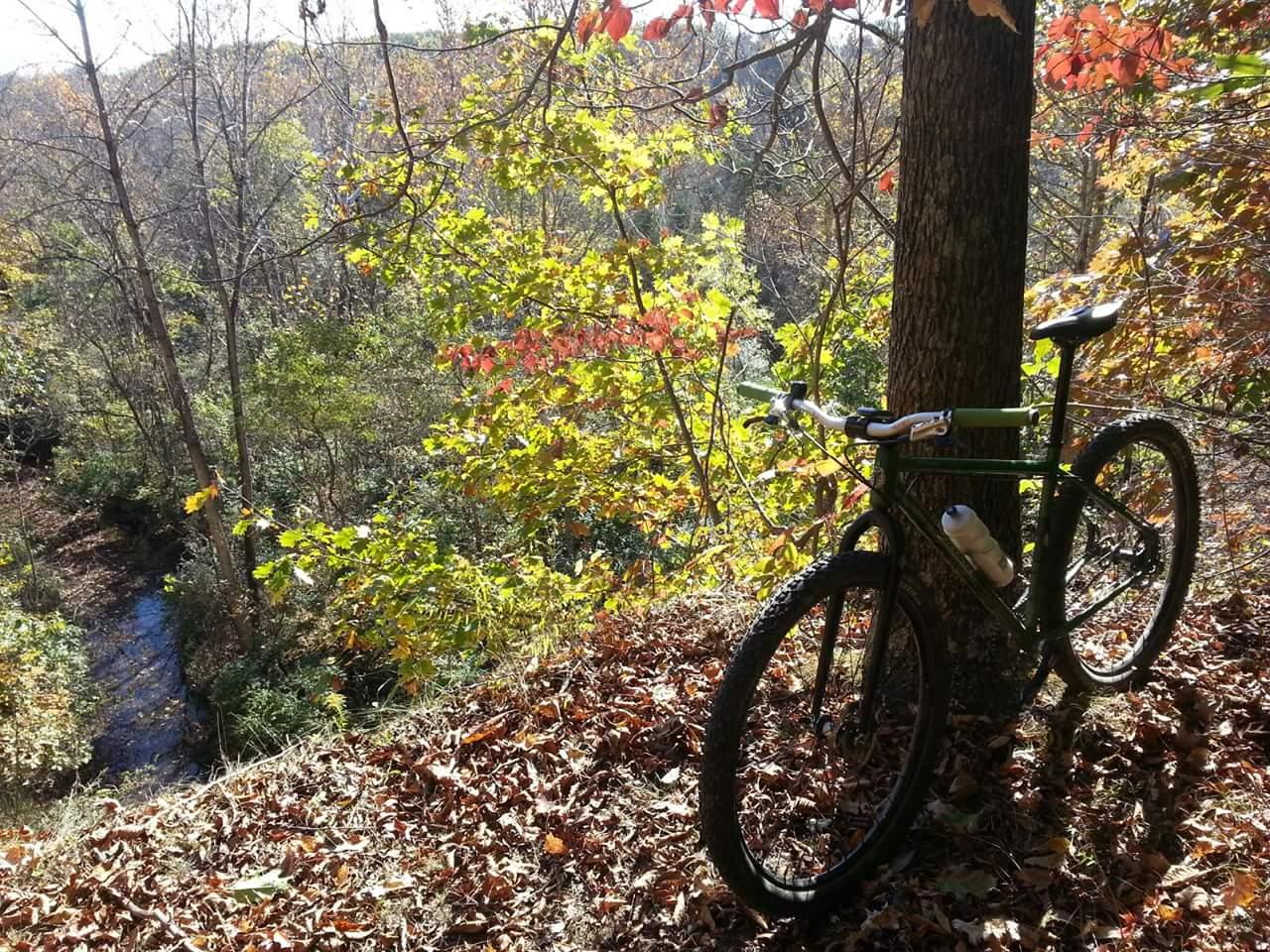 A mountain bike resting against a tree on a hillside covered with colorful autumn leaves, overlooking a small creek and a lush green forest in the background. Caesar Creek mountain bike trail.