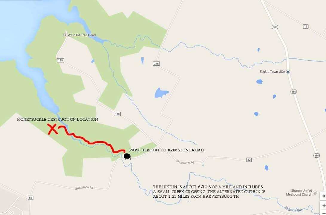 Map indicating a hiking route near Harveysburg, Ohio, with marked points for parking off Brimstone Road and a location for honeysuckle removal. The trail is approximately 0.6 miles and includes a small creek crossing. Caesar Creek mountain bike trail.