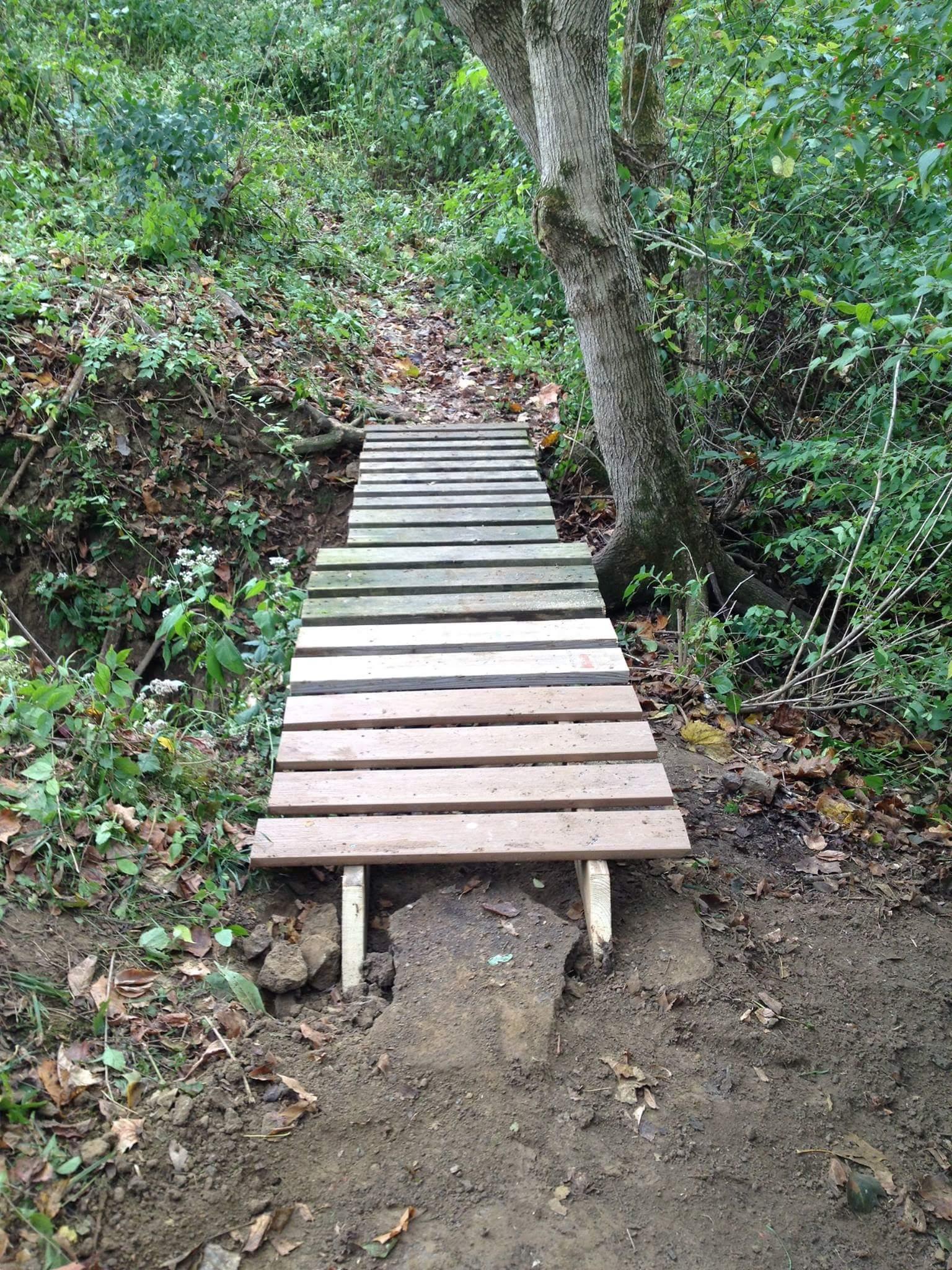 A narrow wooden bridge made of planks crosses a small ditch in a wooded area, surrounded by lush greenery and fallen leaves. Caesar Creek mountain bike trail.