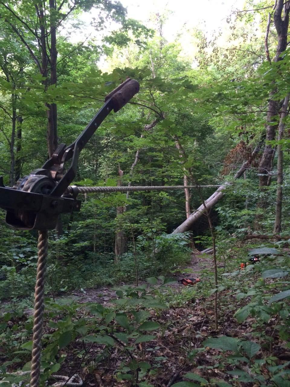 A forested scene featuring a mechanical winch attached to a rope, positioned in the foreground. In the background, a fallen tree leans against other trees, indicating a recent storm or logging activity. Lush green foliage surrounds the area, creating a natural and tranquil atmosphere. Caesar Creek mountain bike trail.