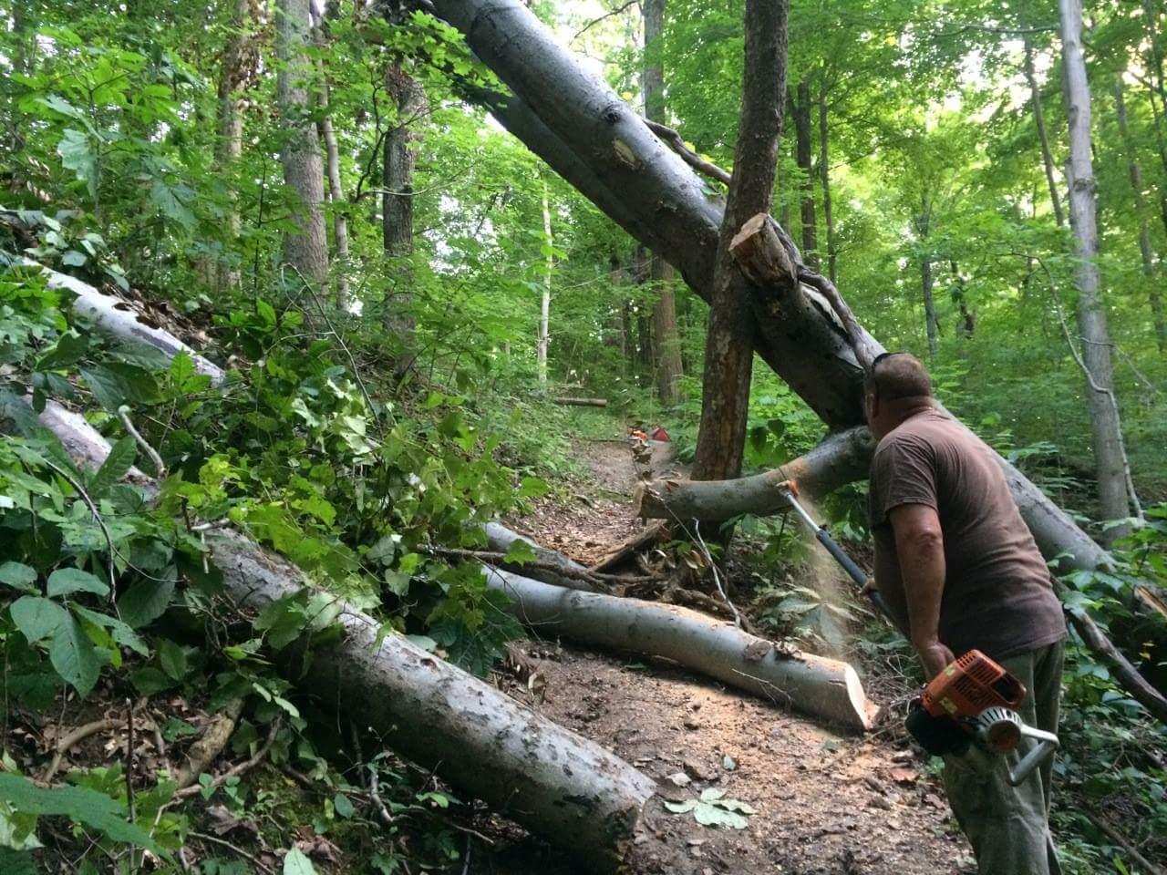 A person using a chainsaw to clear fallen trees and debris from a wooded trail, surrounded by lush green foliage and trees. Caesar Creek mountain bike trail.