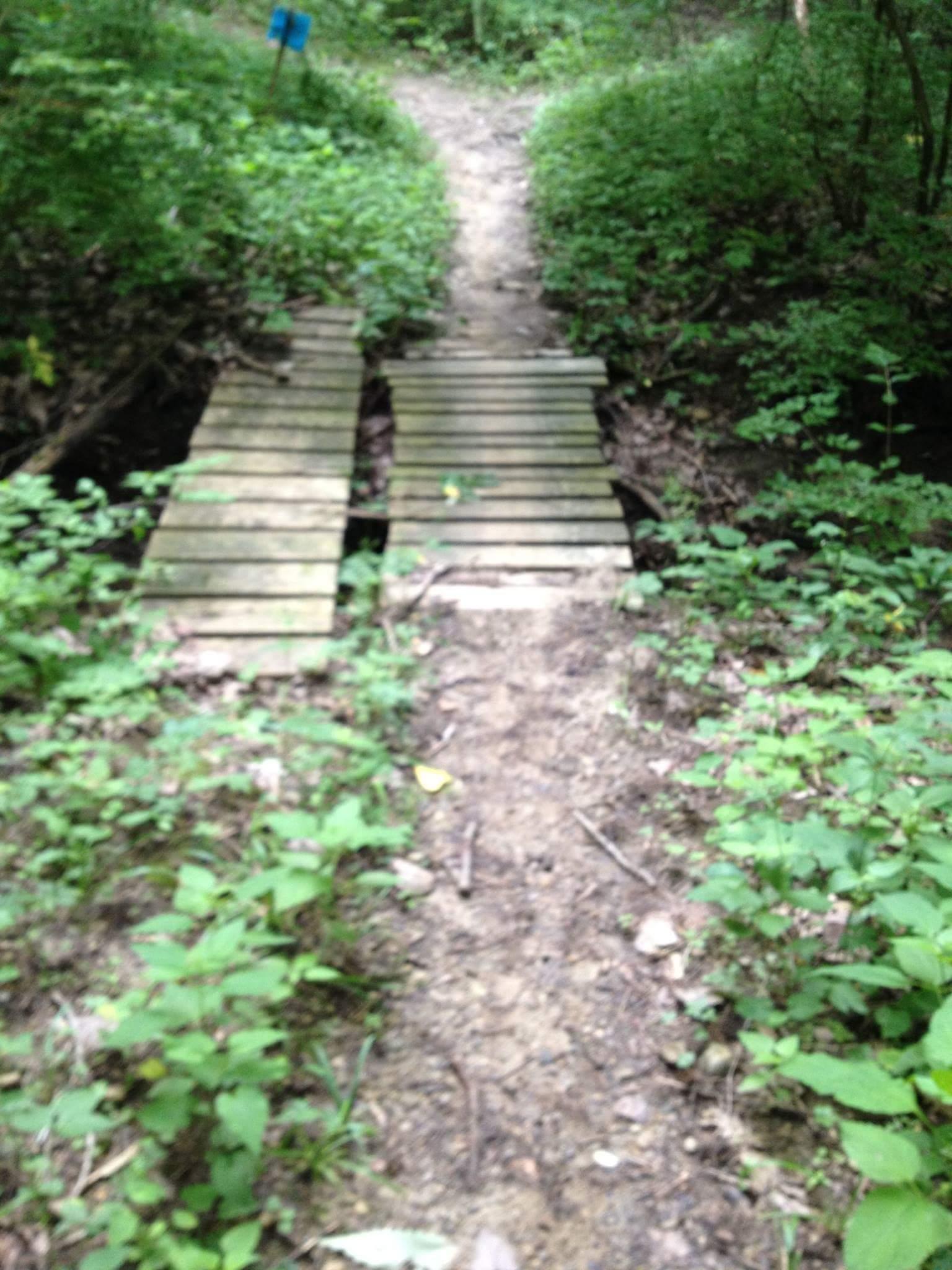 A narrow wooden bridge crosses a small stream in a wooded area. The path leading to the bridge is surrounded by lush green foliage and dirt. In the background, a faint trail winds through the trees. Caesar Creek mountain bike trail.