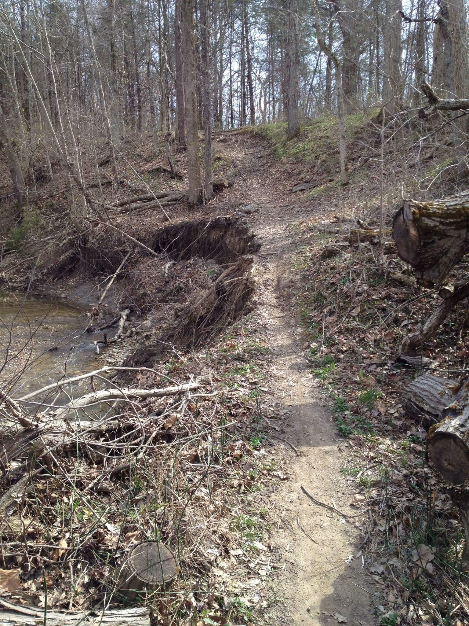 A dirt path winding through a wooded area, with a creek visible to the left. The landscape is covered in fallen leaves and twigs, showcasing a mix of bare trees and patches of greenery. The path appears slightly eroded, with a steep bank on one side. Caesar Creek mountain bike trail.