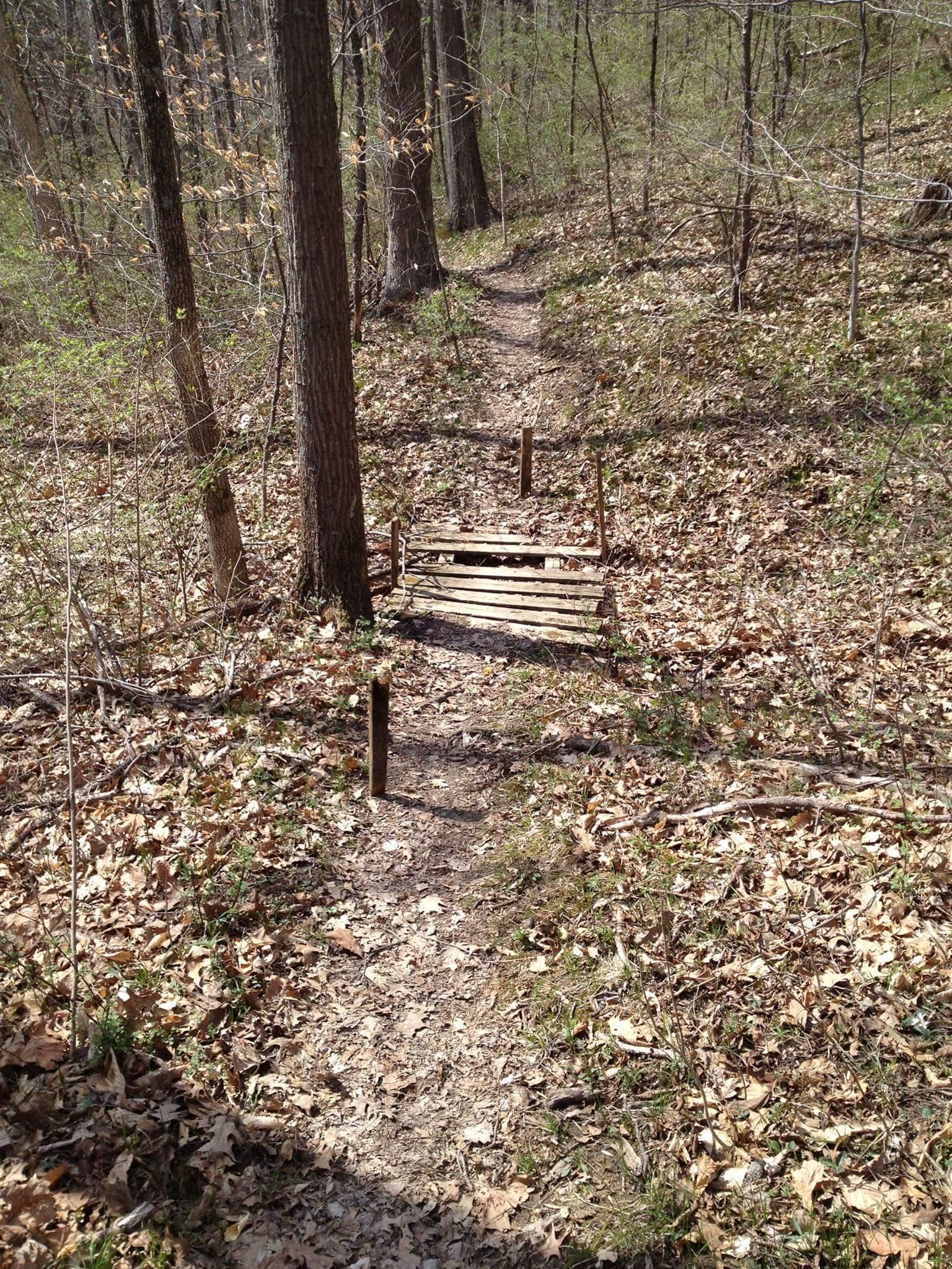 A narrow dirt path in a wooded area, leading to a simple wooden bridge made from planks, supported by two metal poles. Surrounding the path are trees, fallen leaves, and sparse greenery typical of early spring. Caesar Creek mountain bike trail.