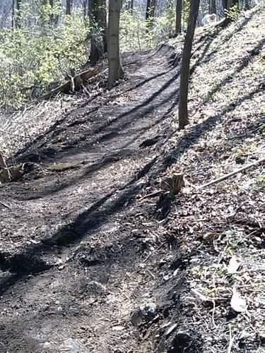 A dirt path winding through a wooded area, surrounded by trees and scattered leaves, with sunlight casting shadows on the ground. Devou Park mountain bike trail.
