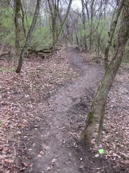 A winding dirt path through a wooded area, surrounded by leafless trees and scattered fallen leaves. The trail is slightly muddy and appears to lead deeper into the forest. Devou Park mountain bike trail.