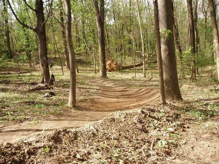 A winding dirt trail through a wooded area, surrounded by trees and fresh greenery. The path is narrow and curves gently, with some patches of exposed earth and fallen leaves. A fallen tree can be seen in the background, adding to the natural setting. Devou Park mountain bike trail.