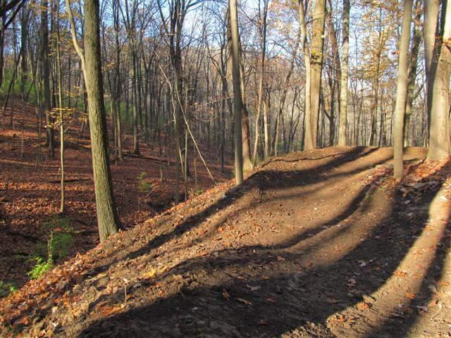 A clearing in a forest with bare soil forming a small hill or ramp, surrounded by trees and fallen leaves on the ground. Sunlight casts long shadows across the area, indicating a late afternoon setting in autumn. Devou Park mountain bike trail.