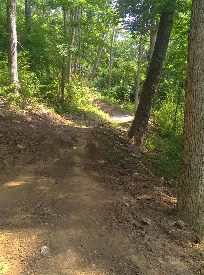 A dirt path winding through a lush green forest, flanked by tall trees and dense foliage, with sunlight filtering through the leaves. Devou Park mountain bike trail.