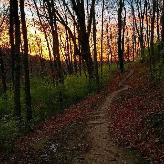 A winding dirt path through a forest during sunset, surrounded by tall trees with bare branches and patches of green foliage. The sky is filled with vibrant orange, pink, and blue hues as the sun sets in the background, casting a warm glow over the scene. Fallen leaves cover the ground along the path, creating a serene and picturesque atmosphere. Devou Park mountain bike trail.