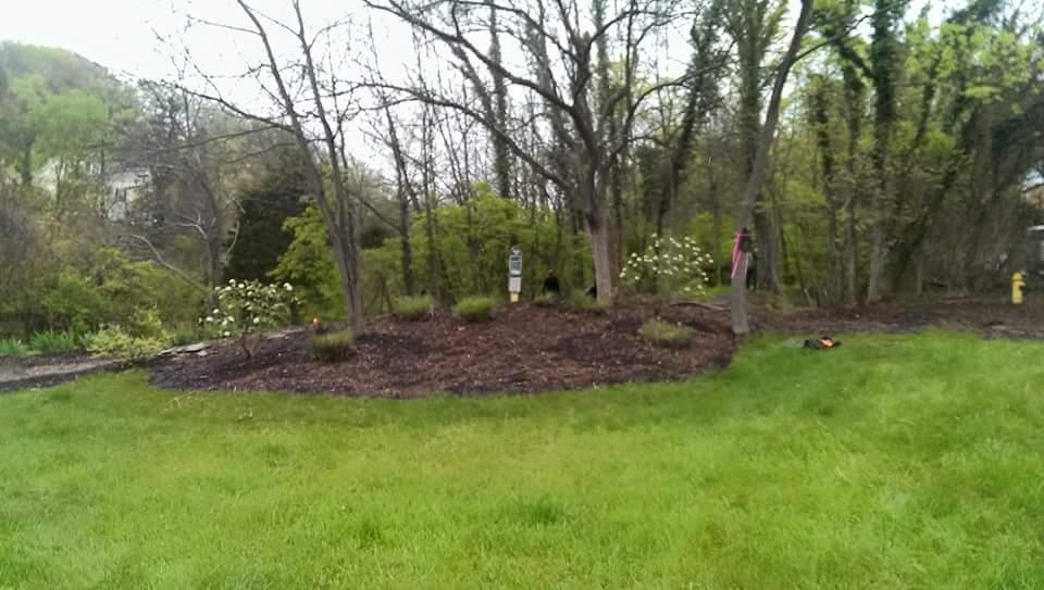 A landscaped area featuring mulch beds surrounded by trees and shrubs, with green grass in the foreground. There are flower bushes blooming, and a decorative sign can be seen among the trees. The scene is set in a residential area with a small hill in the background, suggesting a serene outdoor environment. Devou Park mountain bike trail.