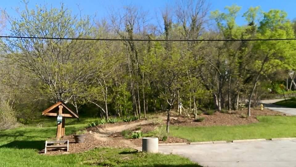 A grassy area with a wooden signpost in the foreground, surrounded by trees and bushes. The background features a clear sky and a winding path leading into a wooded area. Devou Park mountain bike trail.