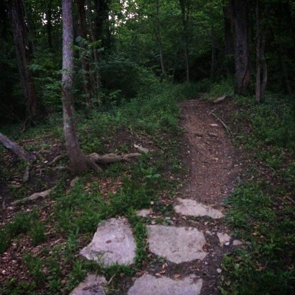A winding dirt pathway leads through a wooded area, bordered by lush greenery and trees. The scene is dimly lit, suggesting early morning or late evening light. Some flat stones are visible along the path, enhancing the natural setting. Devou Park mountain bike trail.