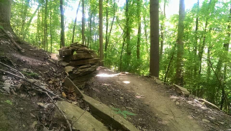A scenic forest trail featuring a slight incline with a rock formation to the left. Sunlight filters through the trees, illuminating the lush green foliage surrounding the path. Devou Park mountain bike trail.