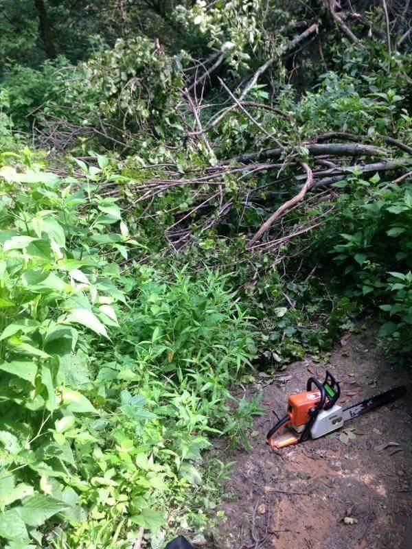 A chainsaw resting on the ground near a dense area of tall grass and bushes, with fallen branches and tree limbs scattered in the background, indicating recent clearing or logging activity in a forested area. Devou Park mountain bike trail.