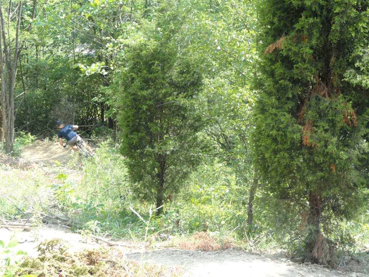 A person riding a mountain bike on a dirt trail, surrounded by dense green foliage and trees. Devou Park mountain bike trail.