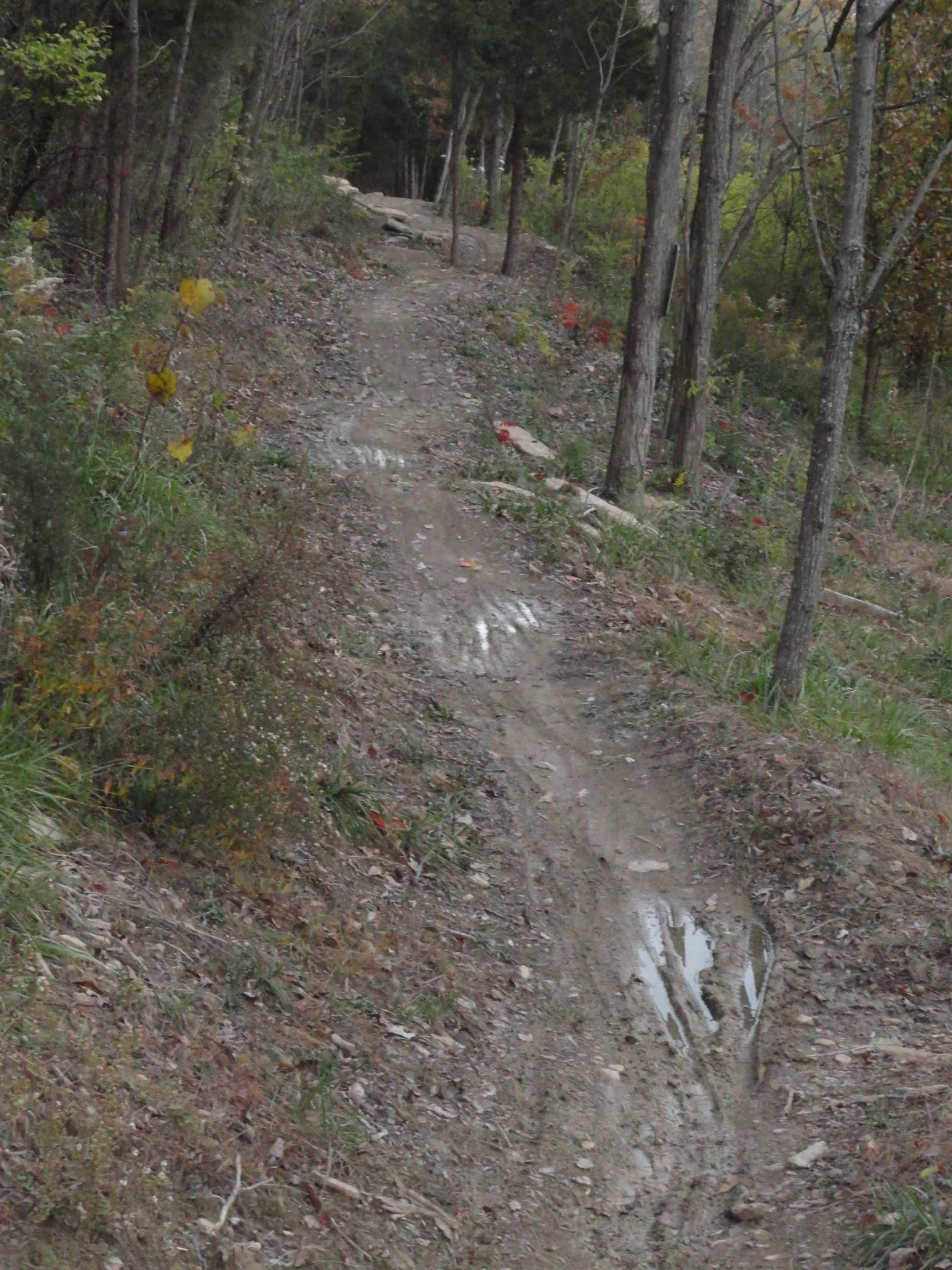 A narrow dirt path winding through a forested area, bordered by trees and foliage. The ground is uneven and shows signs of moisture and recent use, with patches of mud and small rocks visible along the trail. Colorful leaves hint at autumn, adding a touch of vibrant color to the scene. Devou Park mountain bike trail.