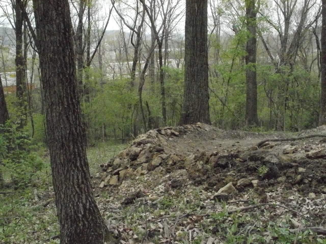 A scenic forested area featuring tall trees and a small rocky hill or incline, with patches of green foliage and scattered leaves on the ground. The background shows a hint of a distant landscape beyond the trees. Devou Park mountain bike trail.