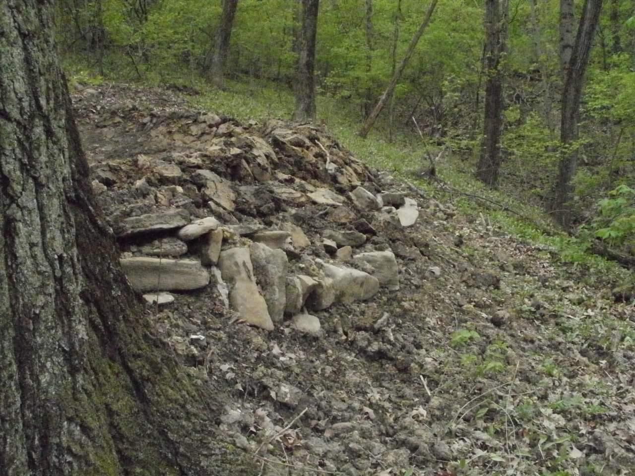 A rocky mound surrounded by lush green foliage in a wooded area, with a large tree trunk partially visible on the left side of the image. Devou Park mountain bike trail.