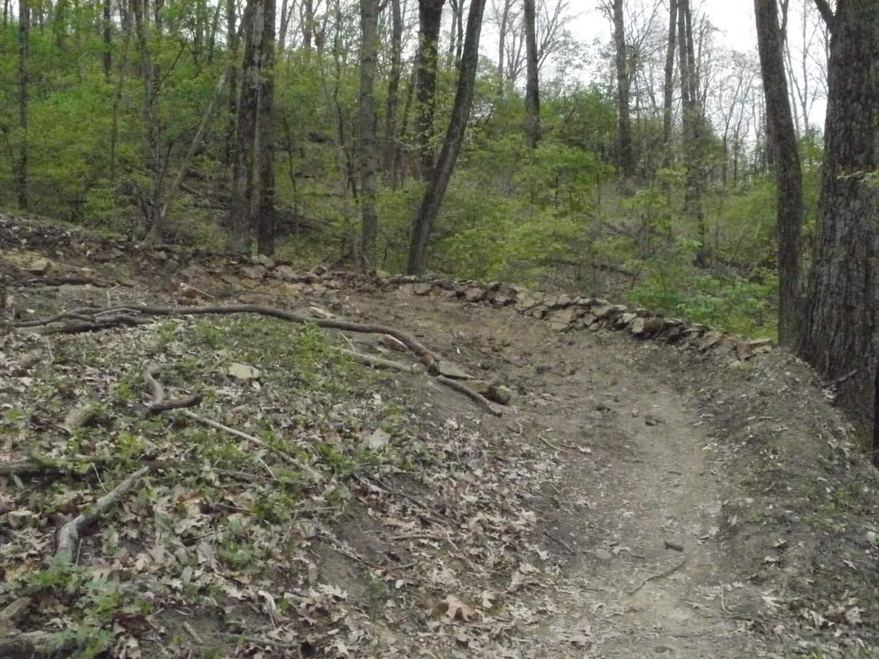 A winding dirt trail surrounded by lush greenery and trees, with a stone wall along one side and fallen leaves scattered on the ground. Devou Park mountain bike trail.