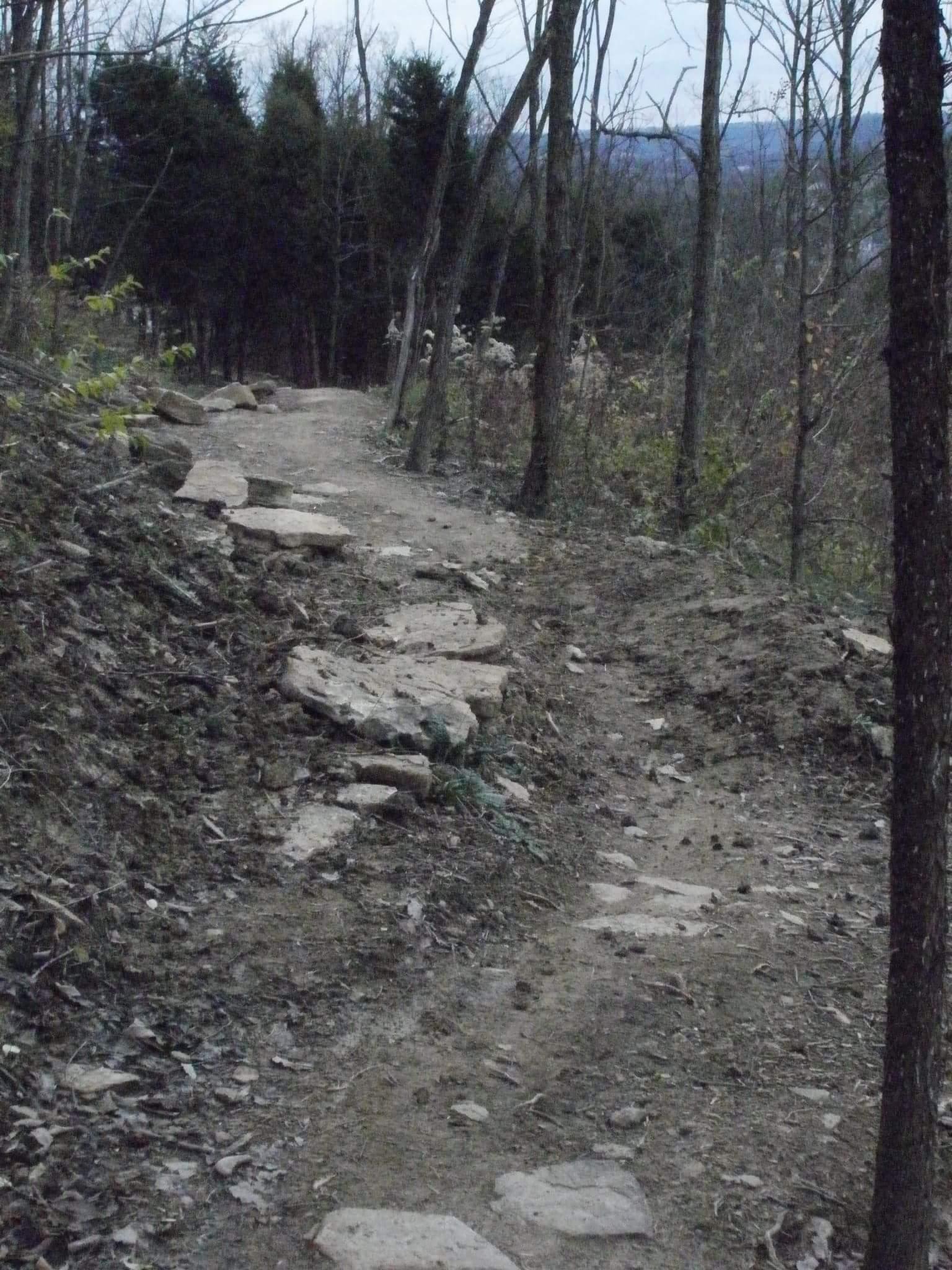 A narrow, winding dirt trail surrounded by trees, featuring scattered stones along the path. The scene is set in a forested area with a muted, natural color palette, suggesting an early evening or overcast sky. Sparse foliage and a few delicate plants are visible on either side of the trail, creating a serene, rustic atmosphere. Devou Park mountain bike trail.