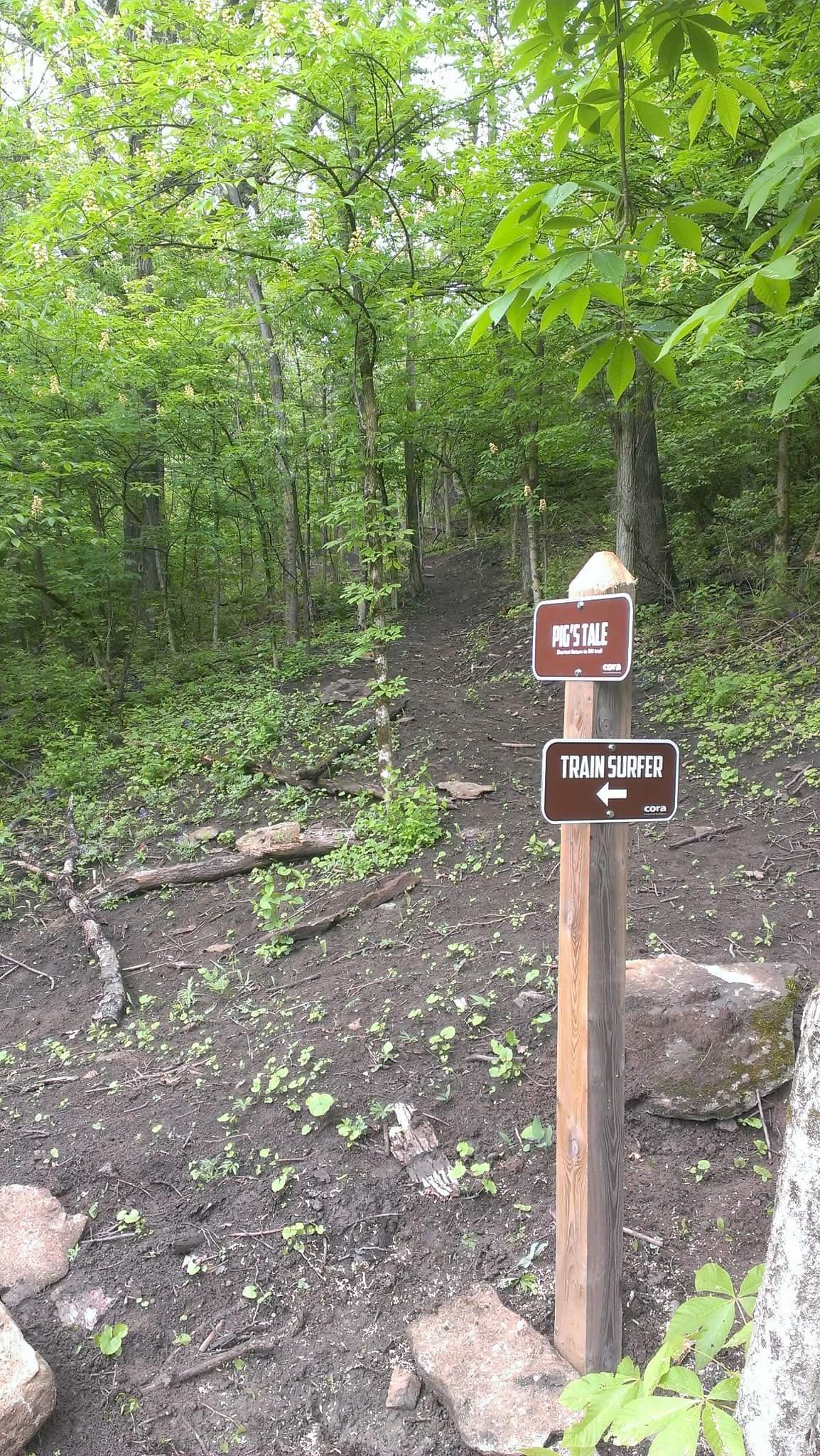 Two trail signs are posted at a junction in a wooded area. The sign on the left reads "PIG'S TALE," while the sign on the right says "TRAIN SURFER," indicating the direction of each trail. The landscape features lush green foliage, rocky terrain, and a dirt path leading deeper into the forest. Devou Park mountain bike trail.