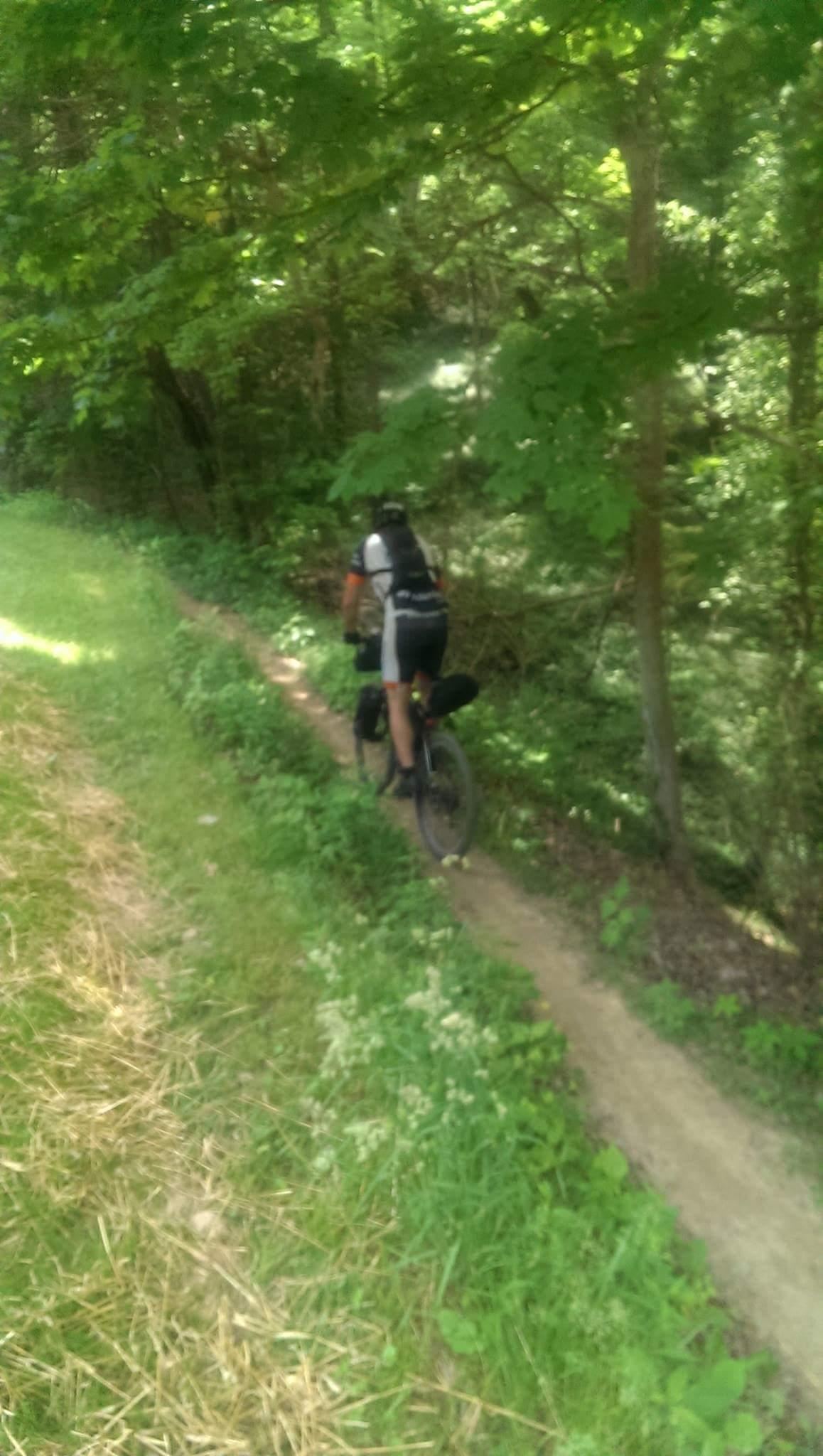 A cyclist riding a mountain bike along a narrow dirt trail surrounded by lush greenery and trees. The trail is bordered by grass and small plants, creating a serene outdoor atmosphere. Devou Park mountain bike trail.
