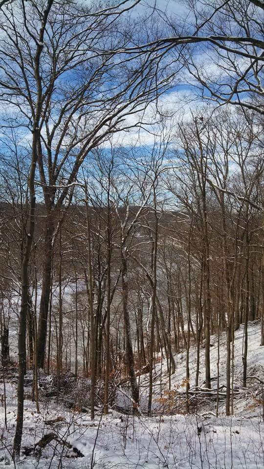 A snowy landscape featuring tall, bare trees against a bright blue sky. The ground is covered in a layer of fresh snow, and a frozen body of water can be seen in the background, surrounded by a mix of trees and fallen branches. Versailles State Park mountain bike trail.