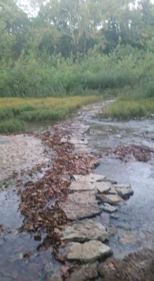 A winding stone path crosses a shallow stream, surrounded by lush greenery and patches of grass. Fallen leaves are scattered along the path and in the water, creating a natural, serene landscape. Versailles State Park mountain bike trail.