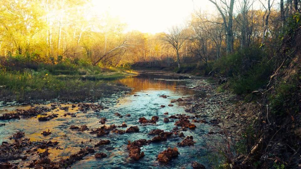 Serene view of a winding river surrounded by trees with autumn foliage. The water reflects the golden light, with scattered leaves and rocks along the riverbank. Versailles State Park mountain bike trail.