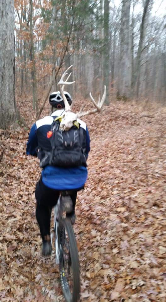 A person riding a bicycle down a leaf-covered trail in a wooded area, wearing a helmet and a blue jacket. They have a backpack with what appears to be deer antlers attached to it. The scene is set in autumn, with brown and orange leaves on the ground and bare trees in the background. Versailles State Park mountain bike trail.