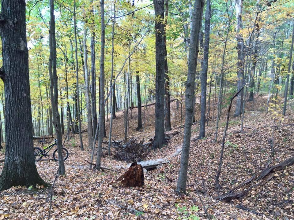 A dense forest scene during autumn, featuring tall trees with green and yellow leaves, a carpet of fallen leaves on the ground, and a glimpse of a mountain bike positioned on the left side. In the background, a small wooden bridge can be seen crossing a gentle slope covered in foliage. Versailles State Park mountain bike trail.