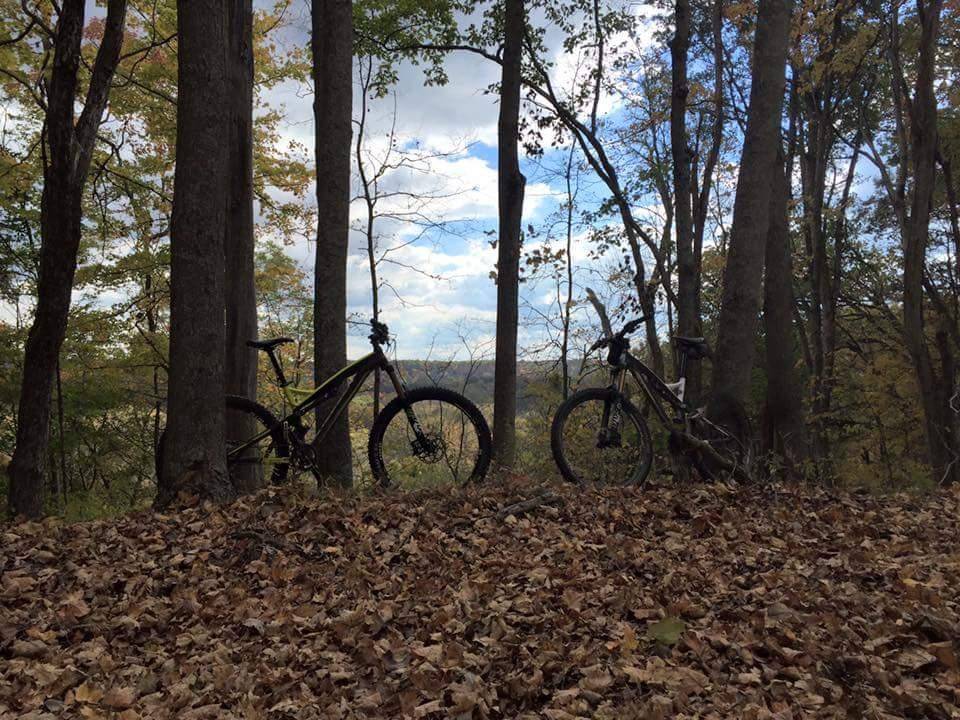Two mountain bikes leaned against trees in a forest during autumn. The ground is covered with fallen leaves, and the background features a scenic view of distant hills under a partly cloudy sky. Versailles State Park mountain bike trail.