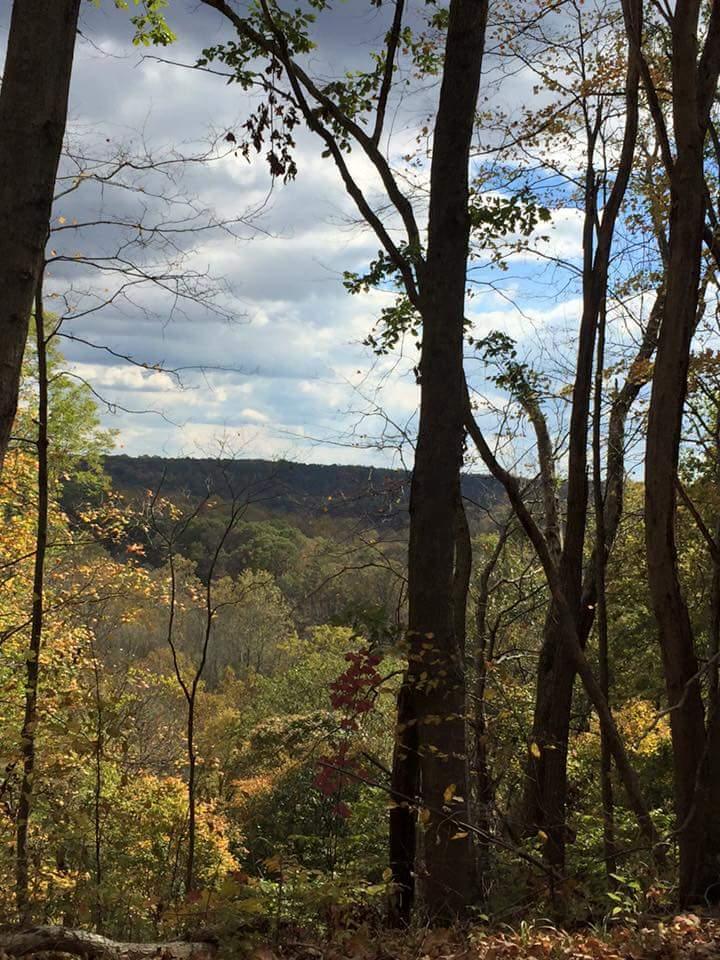 A scenic view of a forested landscape, showcasing tall trees with autumn foliage in shades of green, yellow, and red. The sky is partly cloudy, with hints of blue peeking through the clouds. In the background, rolling hills can be seen through the trees. Versailles State Park mountain bike trail.
