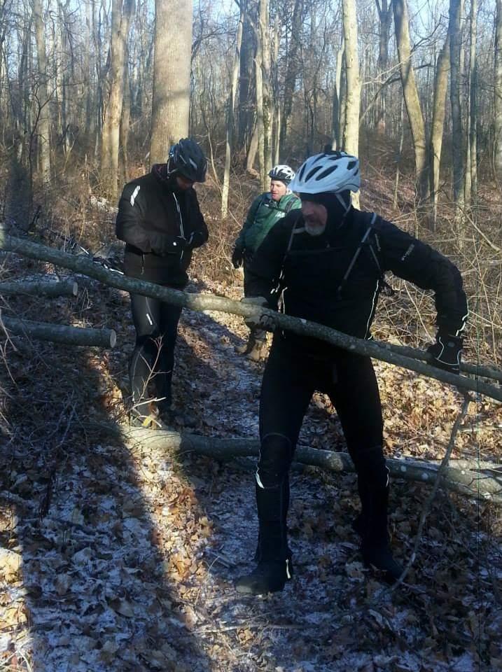 Three cyclists in winter gear are navigating a forest trail. One cyclist is lifting a fallen branch across the path, while the others observe nearby, surrounded by bare trees and scattered leaves on the ground. The scene shows a cold, crisp day with a mix of sunlight and shadow. Versailles State Park mountain bike trail.