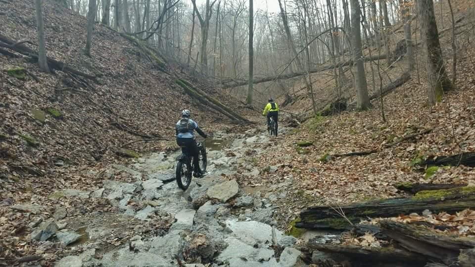 Two mountain bikers navigating a rocky trail through a wooded area in early spring. The ground is covered in fallen leaves, and the trees are bare, indicating a cooler climate. One rider is in the foreground, wearing a blue and gray outfit, while the other, further back, is dressed in a bright yellow jacket. Versailles State Park mountain bike trail.