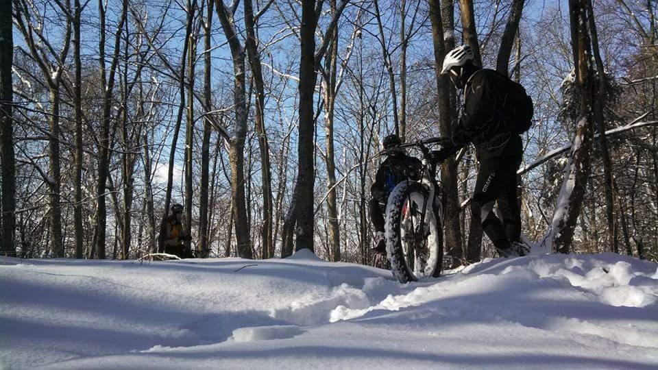 Two mountain bikers navigate through a snowy forest, surrounded by bare trees under a clear blue sky. One biker is adjusting their bicycle while the other is positioned in the background, partially obscured by tree trunks and snow. The scene captures a winter outdoor adventure. Versailles State Park mountain bike trail.