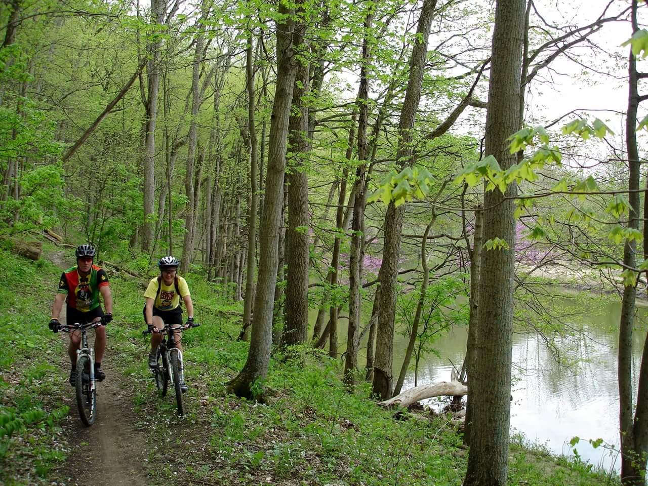 Two mountain bikers riding along a dirt path in a lush green forest near a calm body of water. The trees are densely packed with fresh spring leaves, and a few distant purple flowers are visible in the background. Versailles State Park mountain bike trail.