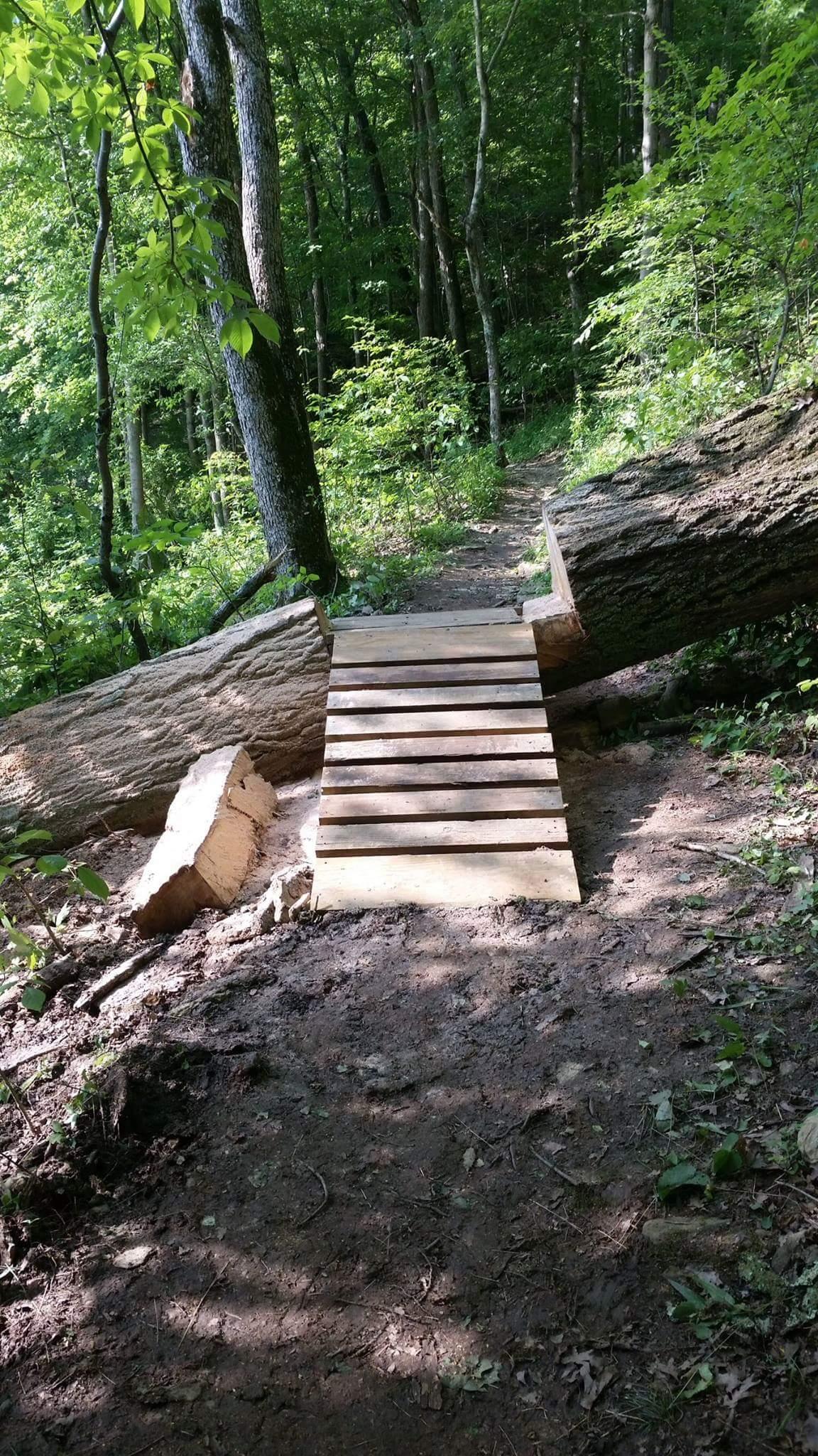 A wooden bridge made from planks, resting on a fallen tree, spanning a small gap in a forested area. Surrounded by lush green foliage and trees, with a dirt path leading into the woods. Versailles State Park mountain bike trail.
