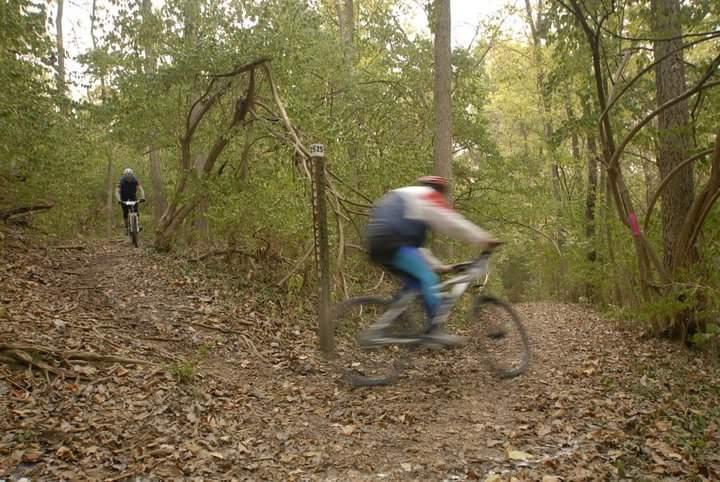 Two mountain bikers ride along a wooded trail. One rider is in motion on the right, partially blurred, while the other is visible in the background. The path is covered with leaves, surrounded by trees and green vegetation. A trail marker is positioned on the right side, indicating the route number. Tower Park mountain bike trail.