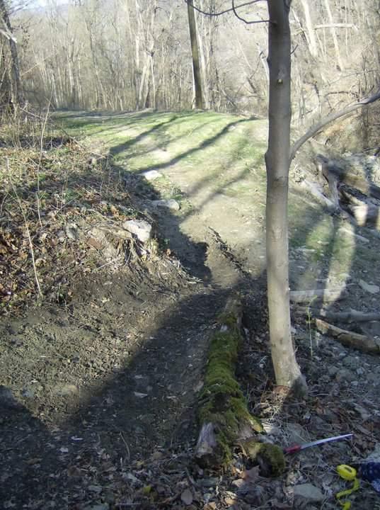 A dirt path winding through a forested area, bordered by trees and scattered rocks. The scene features a tree trunk on the right and a moss-covered log along the edge of the path, with patches of grass and leafless trees in the background. Shadows from the trees stretch across the ground, suggesting a late afternoon setting. Tower Park mountain bike trail.