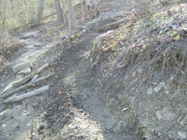 A narrow dirt trail winding through a wooded area, with exposed roots and patches of grass along the sides. Some logs and debris are visible on the ground. The scene is illuminated by natural light, suggesting a typical forest setting. Tower Park mountain bike trail.