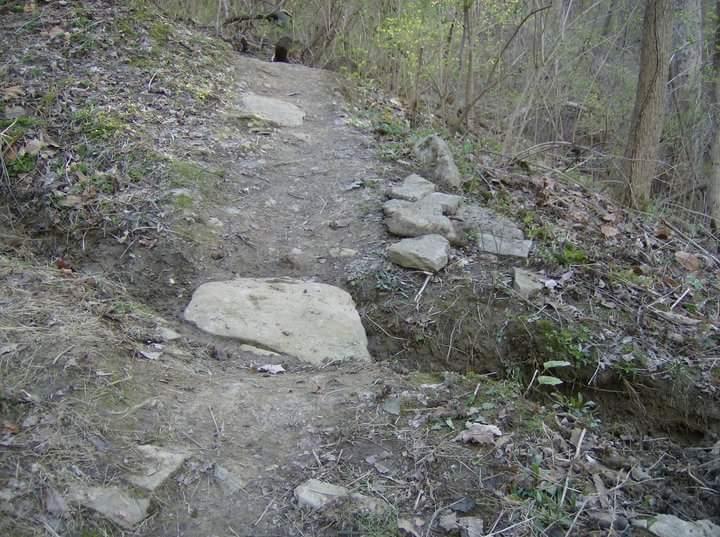 A narrow dirt trail winding through a wooded area, featuring several rocks along the path and patches of grass and fallen leaves. The trail leads upward, surrounded by trees and greenery. Tower Park mountain bike trail.