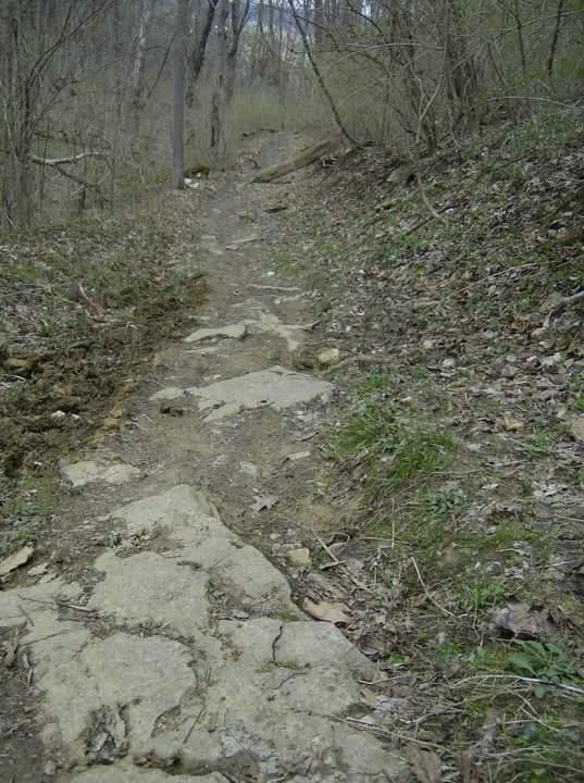 A narrow, rocky trail winding through a forested area, surrounded by sparse vegetation and fallen leaves. The path is uneven, with exposed stones and dirt, leading deeper into the woods. Tower Park mountain bike trail.