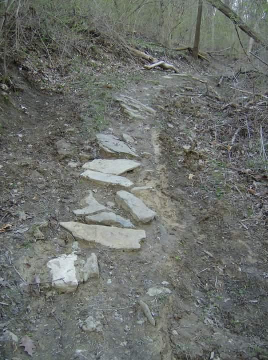 A dirt trail in a forest, featuring a pathway made of flat stones leading through sparse vegetation and earthy terrain. The surrounding area includes bare trees and patches of grass and dirt. Tower Park mountain bike trail.