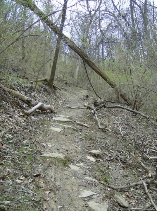A narrow, uneven dirt trail winding through a densely wooded area, with scattered stones and fallen branches along the path. A tree lies diagonally across the trail, and the surrounding foliage is predominantly green, suggesting early spring or late winter. Tower Park mountain bike trail.