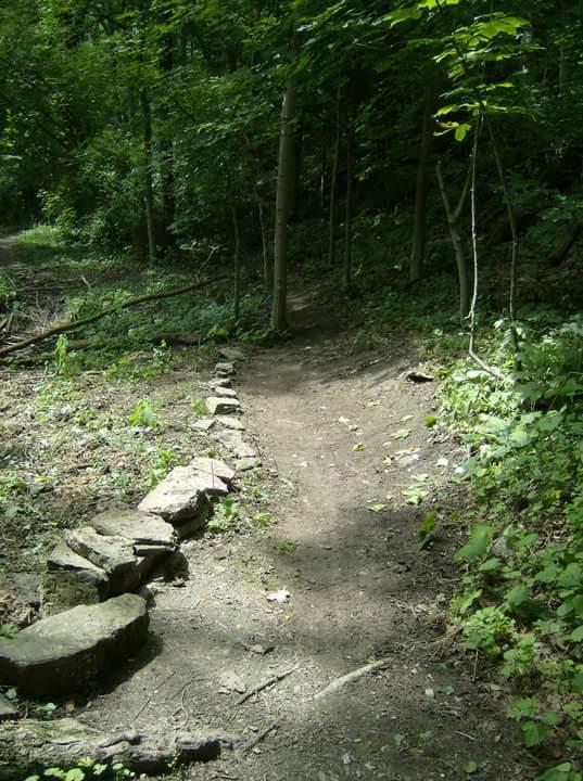 A narrow, winding dirt path surrounded by lush green foliage and trees, with a line of stones marking one side of the trail. The scene is illuminated by natural light filtering through the leaves above. Tower Park mountain bike trail.