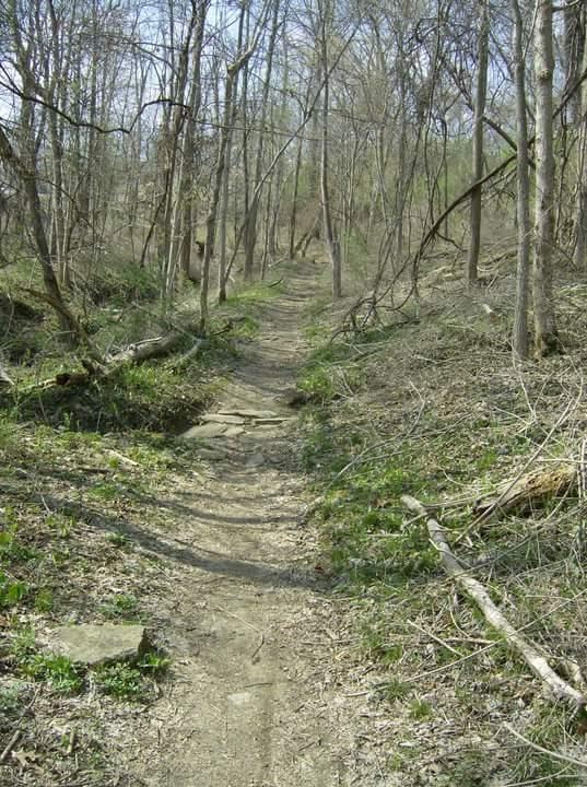 A narrow dirt path winding through a sparse forest in early spring, with bare trees and patches of greenery on either side. The trail is slightly uneven, with scattered sticks and rocks along the way. Tower Park mountain bike trail.